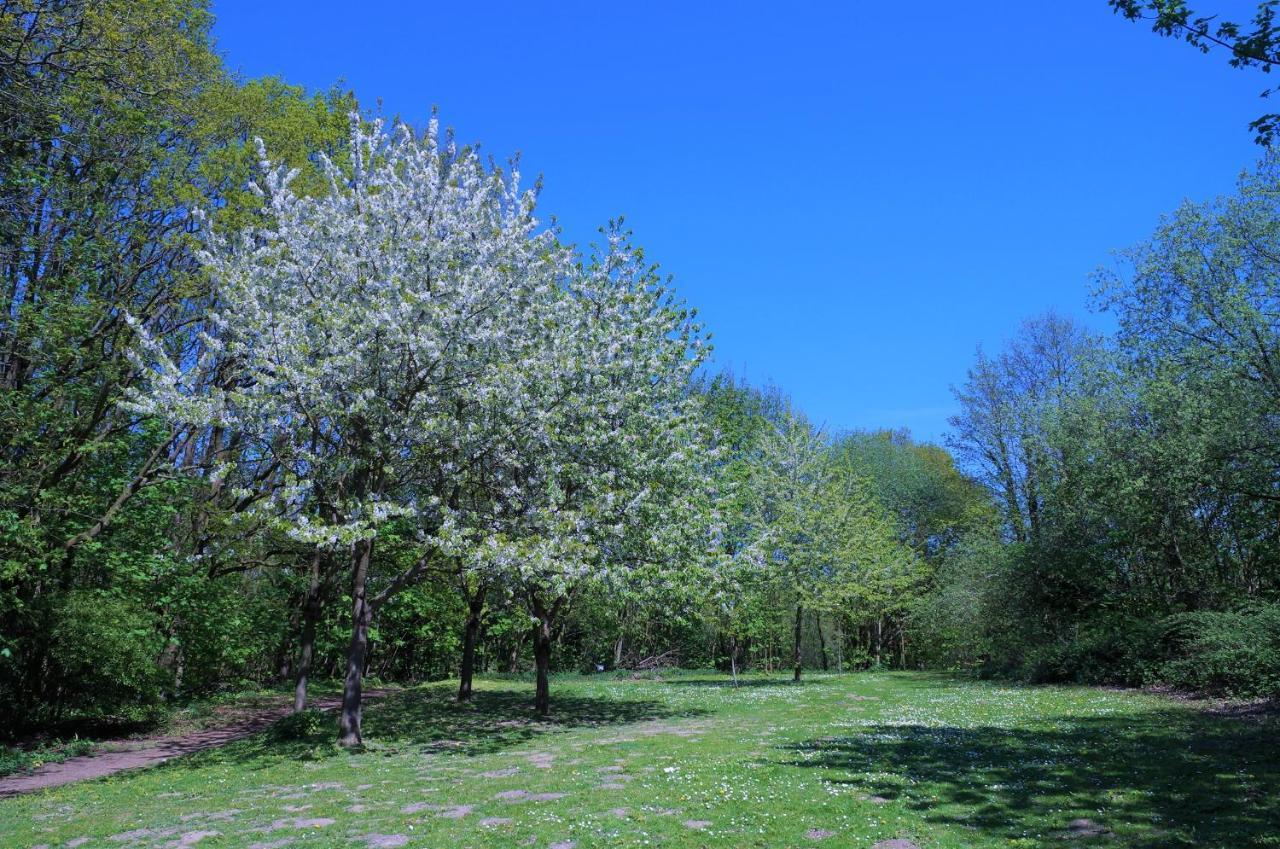 Panoramic App B02-10 Lejlighed Sierksdorf Eksteriør billede
